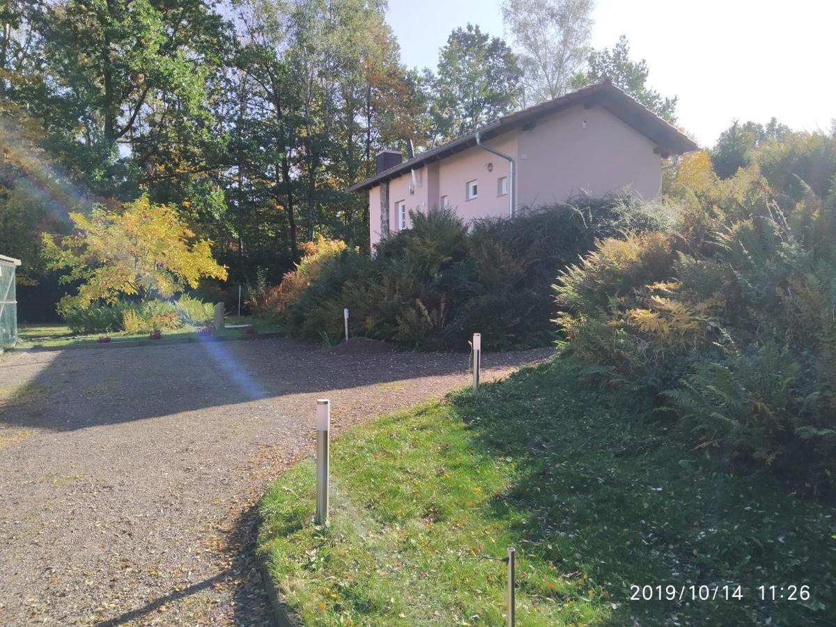 Kleines Gartenhaus Am Mahler Grossschirma Экстерьер фото